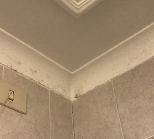 Im  Badezimmer hat sich teilweise Schimmel gebildet  Hotel Archimede