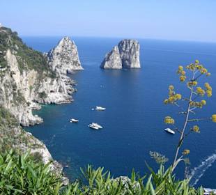 Küste von Capri