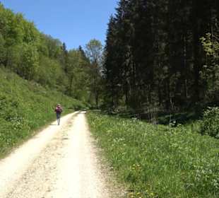Buchtalhütte Magolsheim