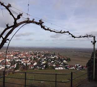 Ruine Wachtenburg