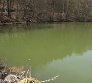 Spazierweg Ritter Museum