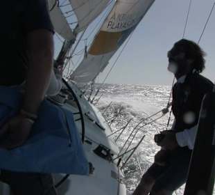 Skipper relaxed