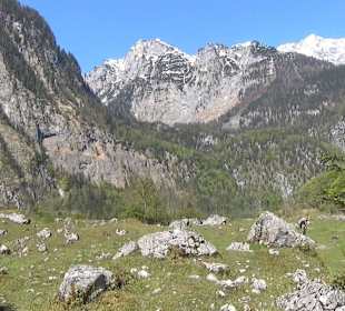 Weg zum Obersee