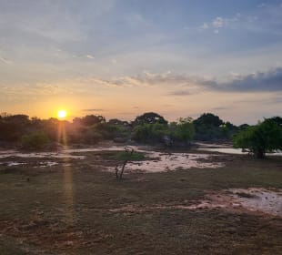 Sonnenuntergang Yala Nationalpark 