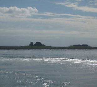 Hallig Hooge