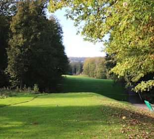 Wald umsäumte Fairways