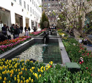 Stadtrundfahrt New York