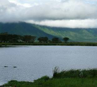 Hippopool im Ngorongoro / Picknickpoint