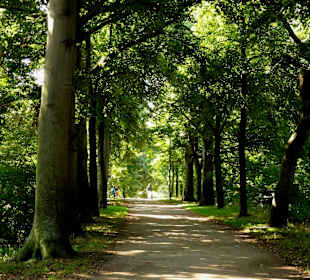 Rundgang über die Stadtwall-Promenade