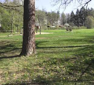 Wanderparkplatz Tannenwald