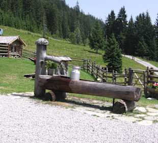 An der Steinalm