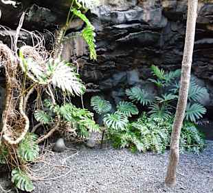 Fundacion Cesar Manrique