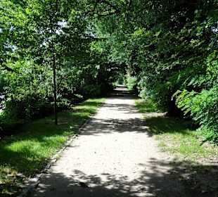 Spaziergang über den Stadtwall Wildeshausen