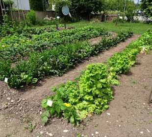 Impressionen aus dem Garten des Bauernmuseums