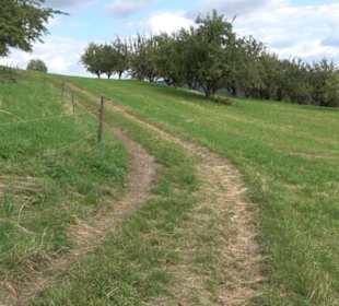 Hochgehnießen - Premiumspazierwanderweg