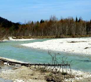 Die Isar am Riedboden/Mittenwald