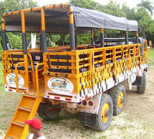 Safarifahrzeug / Megatrack