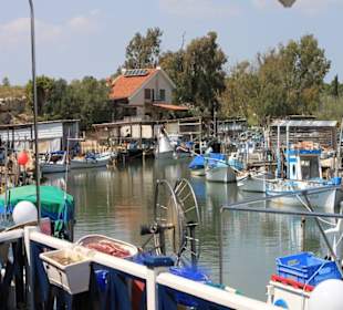 Blick Richtung Fjord