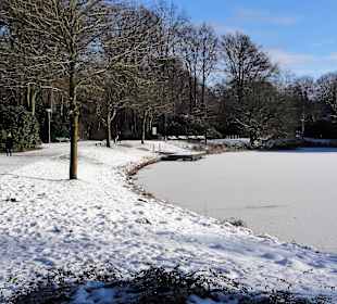 Winterspaziergang durch den Bürgerpark