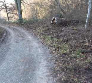 Schönbuch Schaichtal