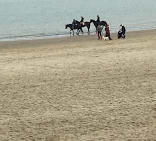 Strand Renesse