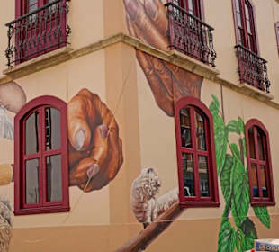 Haus des Seidenmuseums und Fabrikation