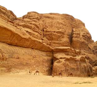 Wüstenlandschaft Wadi Rum