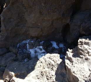 Teide Nationalpark in Las Canadas del Teide