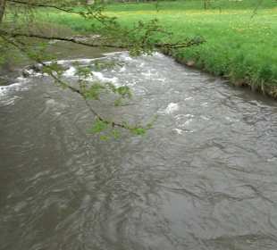 Eiszeitpfad - Burgfelsenpfad
