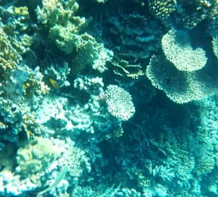 Das Wasser ist super klar