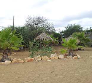 Es Cana Strand Playa Martina