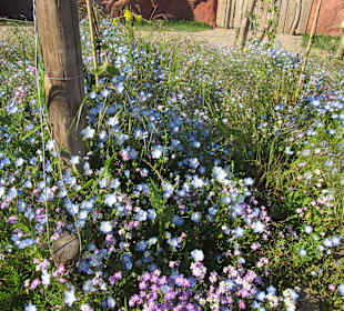 Alla Hopp Bewegungs- und Begegnungsanlage