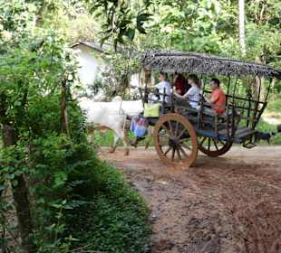 Es geht in holpriger Fahrt um die Kurve