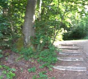 Kreuzweg zum Tannenrain