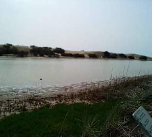 Naturschutzgebiet La Charca in Maspalomas