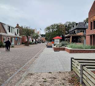 Inselrundfahrt Schiermonnikoog