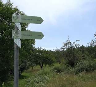Premiumspazierweg Früchtetrauf-Leisawegle