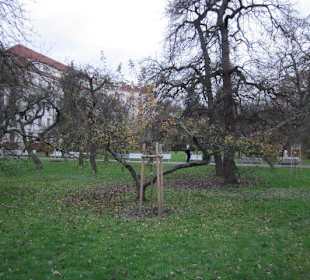 Mala Strana Vojanovy Sady