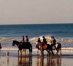 Reitstall Finca el Anfora Conil