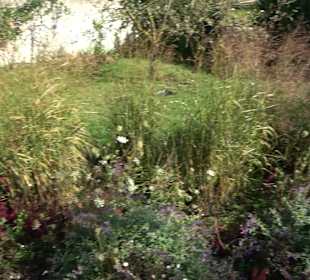 Klostergarten - Garten der Pilger Oberelchingen