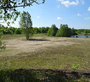 Spaziergang durch den Sandtrockenrasen Achim