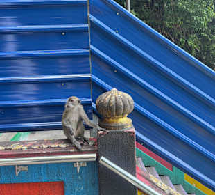 Batu Caves