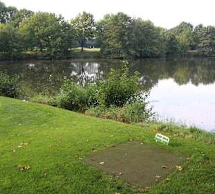 Wie viel Golfbälle liegen in dem Teich?