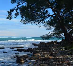 Am Strand von Phaselis