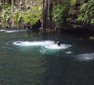 Baden in der Cenote