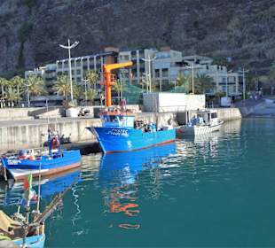 Impressionen aus dem Hafen von Calheta