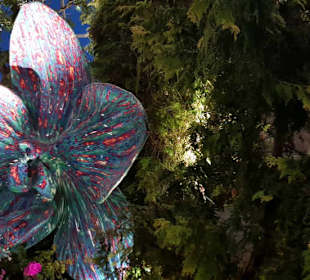 Cloud Forest Singapur