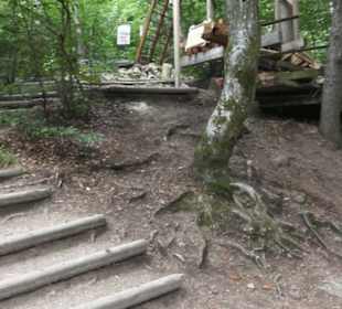 Natur-Hochseilgarten Triberg