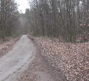 Unterjesinger Wengertwegle