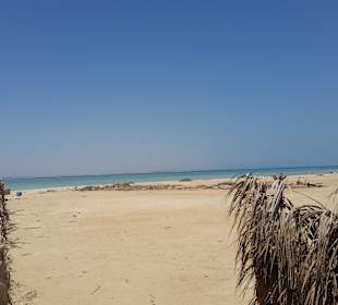 Giftun / Mahmya Inseln